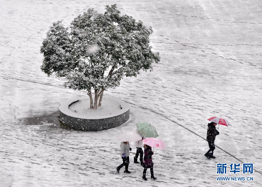 近期全國天氣28年“最冷” 南方低溫雨雪將加強(qiáng)