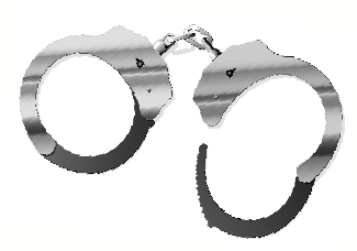房姐涉嫌偽造國(guó)家公文、印章罪 刑期至少三年