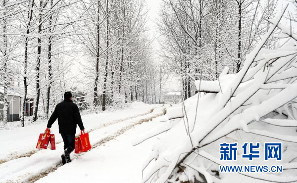 大雪侵襲致安徽30萬余人受災 90間房屋倒塌