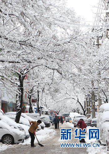 暴雪致京滬及滬寧等高鐵降速運行 多趟高鐵停運