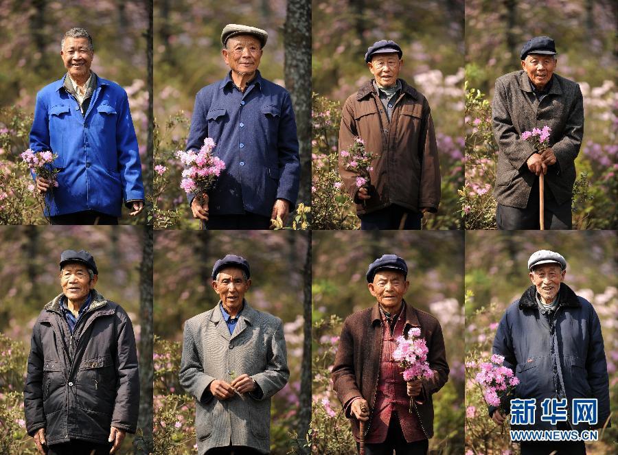植樹造林，我們一直在行動(dòng)