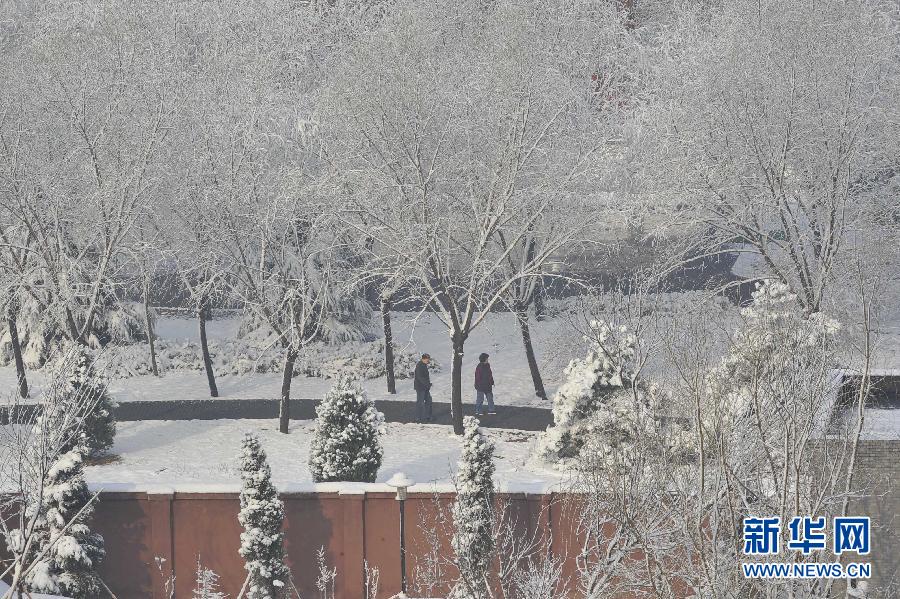 京城降雪迎春分 銀裝素裹如童話世界