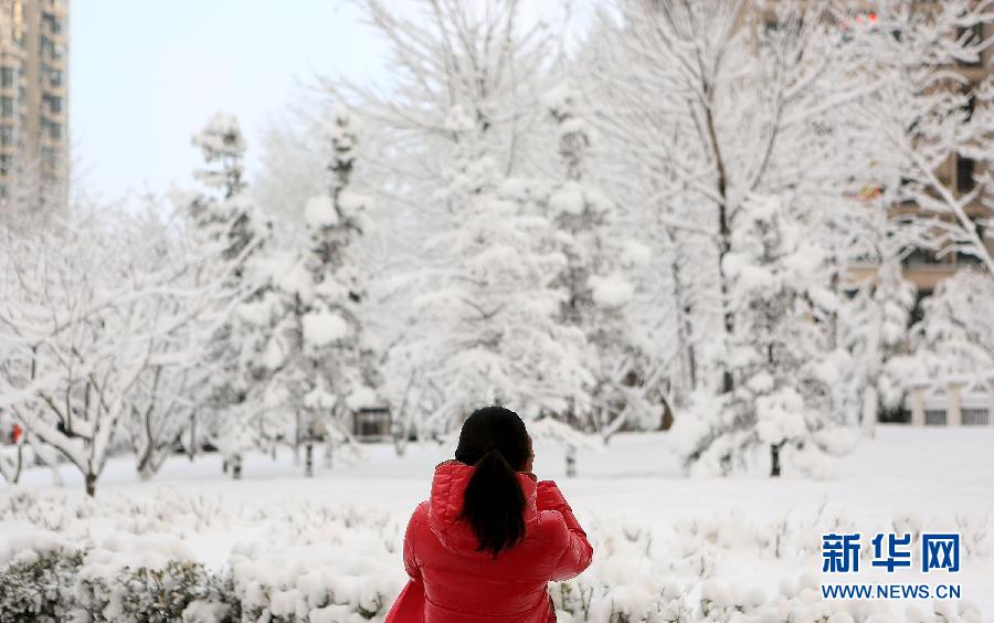 京城降雪迎春分 銀裝素裹如童話世界
