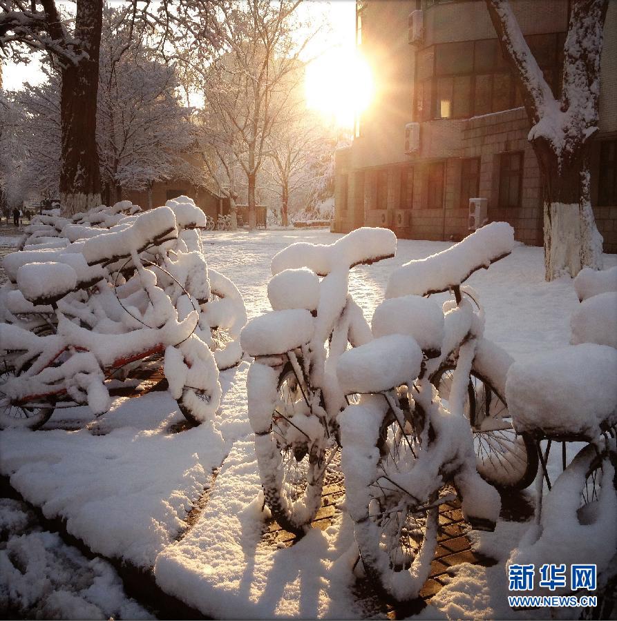 京城降雪迎春分 銀裝素裹如童話世界