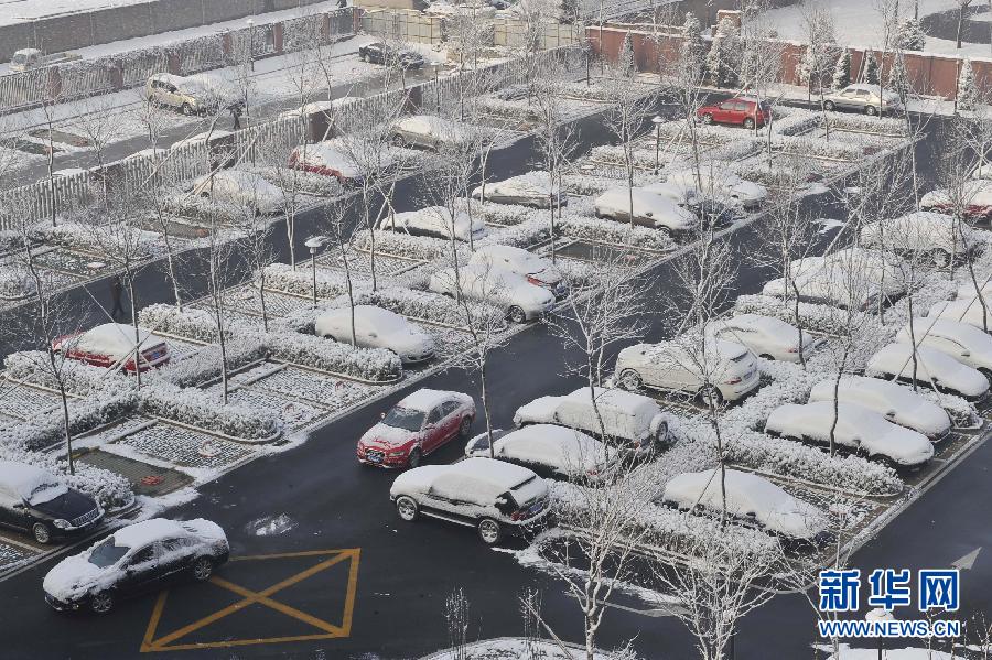 京城降雪迎春分 銀裝素裹如童話世界