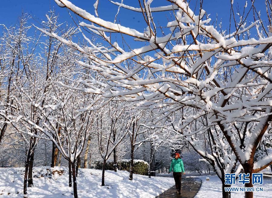 京城降雪迎春分 銀裝素裹如童話世界
