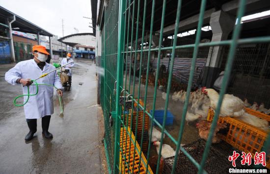 全國報(bào)告18例人感染H7N9禽流感確診病例 6人死亡