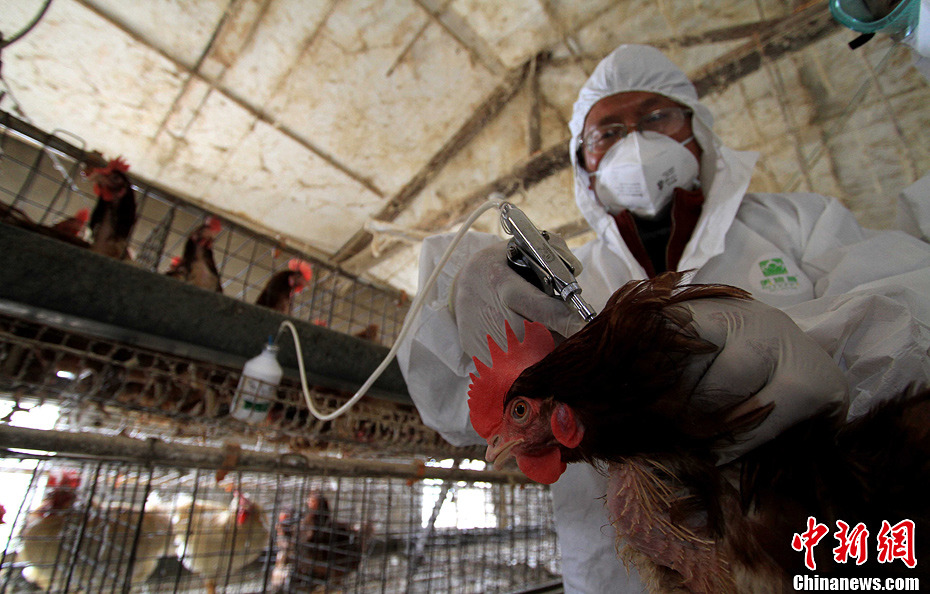 安徽舉行人感染H7N9禽流感應(yīng)急演練