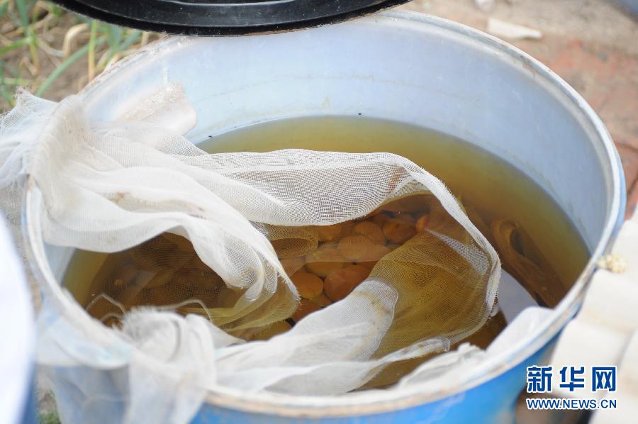 地下水成“綠茶”污染20多年該誰治？