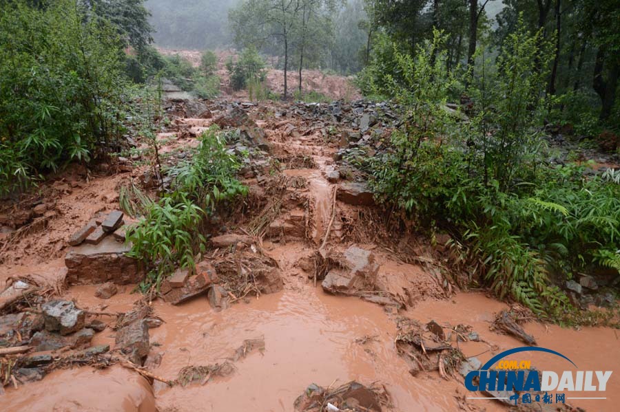 暴雨來襲——多地遭遇暴雨洪澇災(zāi)害