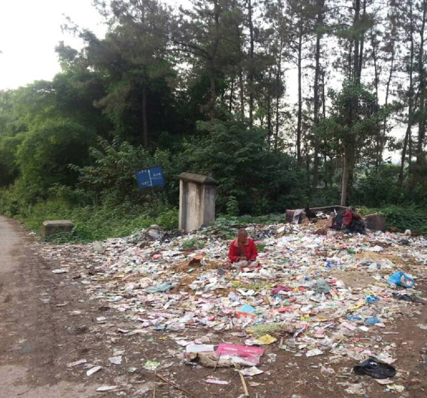 高清：網(wǎng)曝四川一森林公園成垃圾山 滋生大量蒼蠅