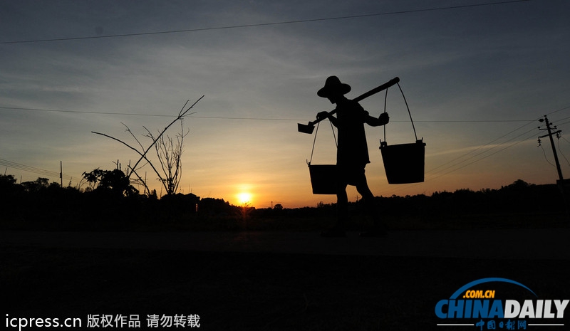 湖南旱情蔓延：引水澆灌農(nóng)田自救 定點(diǎn)定時(shí)供水解旱農(nóng)之渴