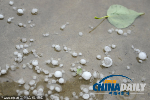 太原迎大雨冰雹天氣