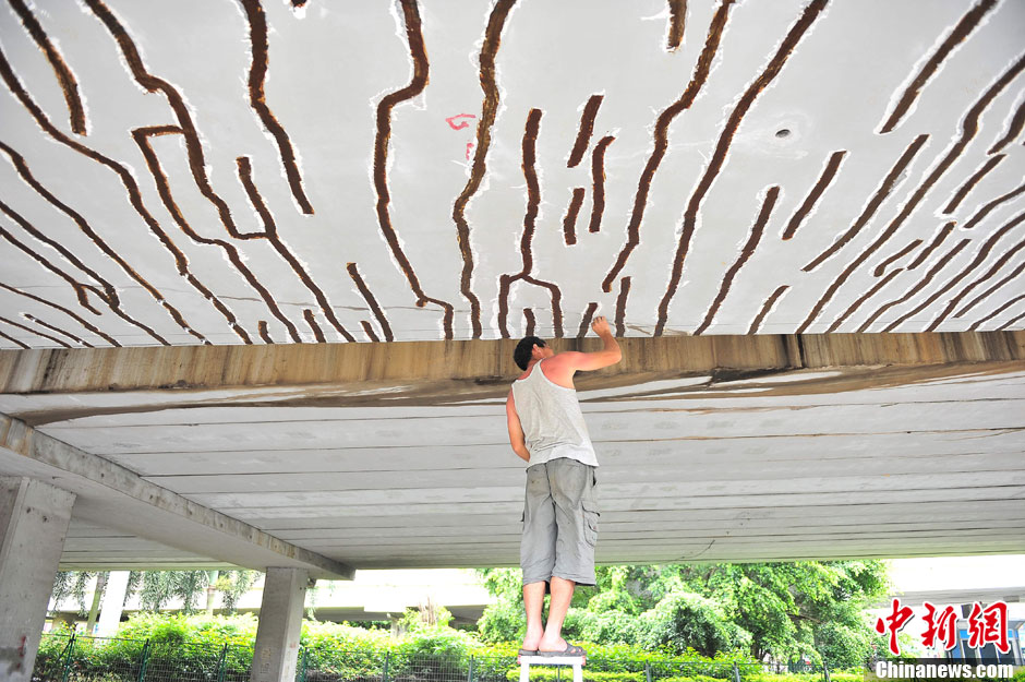 ?？谝灰龢颥F(xiàn)200余條裂縫 官方回應稱不影響通車安全[組圖]