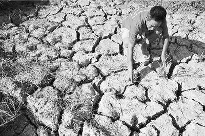 南方高溫創(chuàng)1951年以來(lái)之最