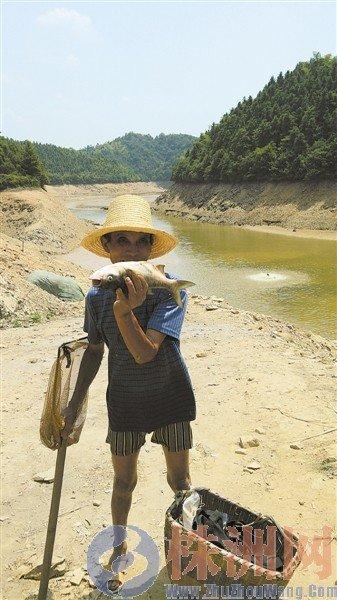 湖南龍?zhí)端畮旄珊源竺娣e死魚 8百村民開車搶魚