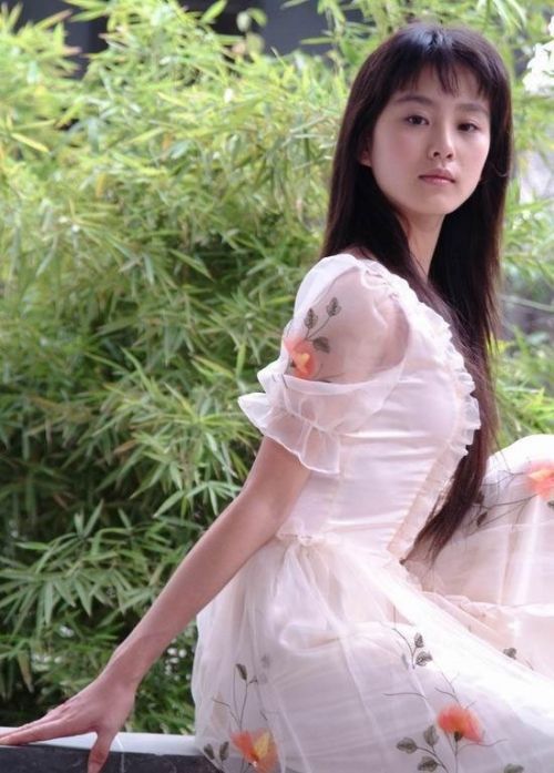 楊冪劉亦菲劉詩(shī)詩(shī)唐嫣新代女星身價(jià)排名（圖）