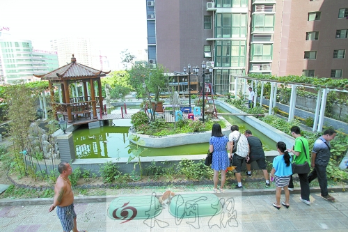 鄭州現樓頂私人花園 修涼亭魚池種菜養(yǎng)鵝(圖)