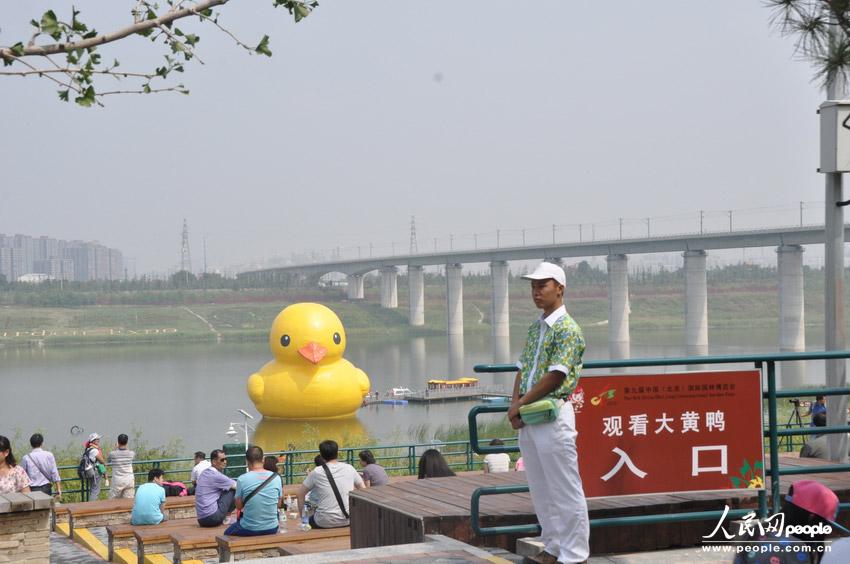 高清：北京大黃鴨拼接錯誤變尖嘴雞 已連夜修復(fù)
