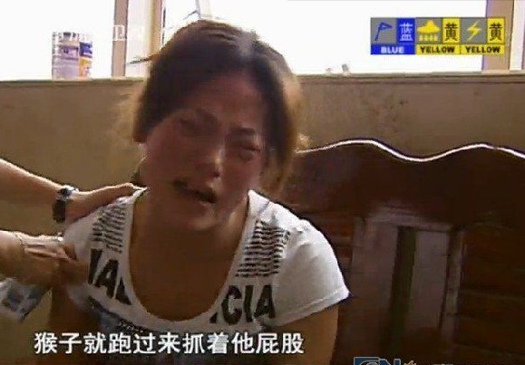 游客喂猴致男嬰睪丸被吞食 母親見(jiàn)狀嚇到崩潰(圖)