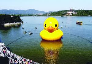 大黃鴨進(jìn)昆明湖游人暴增 或?qū)⒃O(shè)游覽單行線(xiàn)(圖)