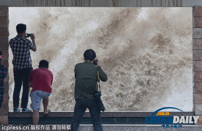 浙江溫嶺：臺風(fēng)”菲特“掀起巨浪 看潮人流涌動