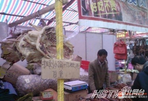 另類沖刺標(biāo)語(yǔ)屌絲氣息濃郁 盤點(diǎn)那些令人無(wú)語(yǔ)的奇葩標(biāo)語(yǔ)（組圖）