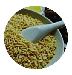 網(wǎng)友評出江蘇十大“怪菜” 炸蛆、活珠子上榜