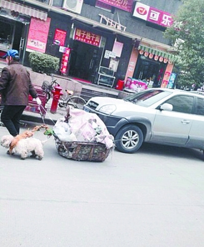 五旬老人街頭拾荒 小狗甘當(dāng)“苦力”幫其拉車(圖)