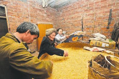 老漢擔心去世后養(yǎng)孫女無人照顧 為其儲存千斤谷子