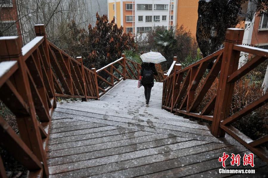 全國多地迎來2014年第一場降雪
