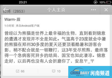 網(wǎng)曝大熊貓錦意曾被逼“坐臺”吃窩頭 園方否認(rèn)