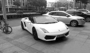 男子不愿花10萬學(xué)專業(yè)駕駛 撞上路牙300萬豪車報廢(圖)