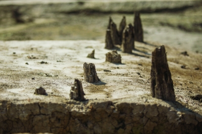 南京門西地區(qū)發(fā)現(xiàn)古建筑遺址或?yàn)槔畎自?shī)中的鳳凰臺(tái)