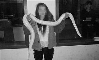 浙江男子偷價值萬元黃金蟒炫耀 被轉發(fā)朋友圈引來民警