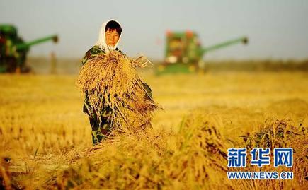 六大舉措保三農(nóng)--權(quán)威人士解讀中央農(nóng)村工作會(huì)議精神