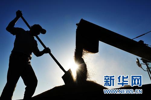 六大舉措保三農(nóng)--權(quán)威人士解讀中央農(nóng)村工作會議精神