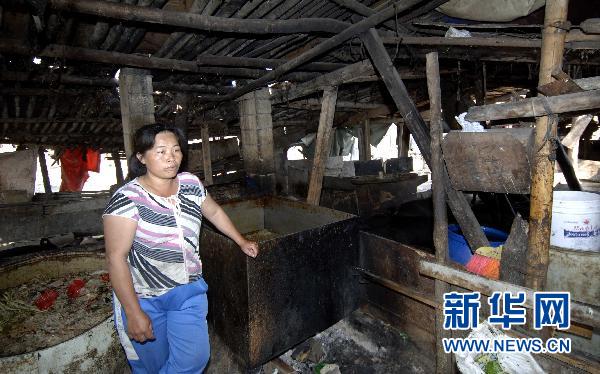 三亞回應(yīng)最大棚戶區(qū)被強拆事件:政府沒有義務(wù)賠償