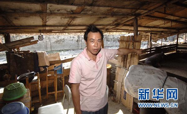 三亞回應最大棚戶區(qū)被強拆事件:政府沒有義務賠償