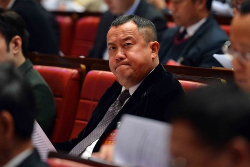 明星蜂擁穿官衣 星爺變委員艷星進(jìn)政協(xié)
