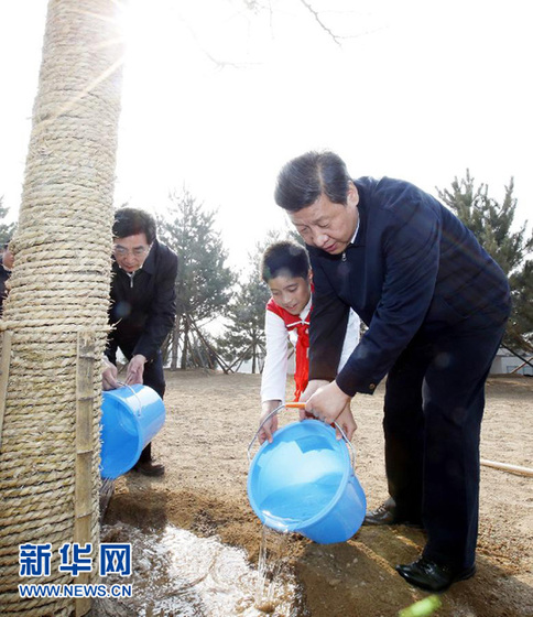 習(xí)近平:把義務(wù)植樹深入持久開展下去 為建設(shè)美麗中國創(chuàng)造更好生態(tài)條件
