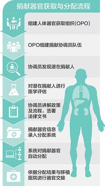 衛(wèi)生部門成立器官獲取組織 圖解捐獻(xiàn)流程（圖）