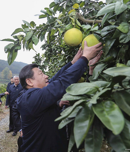 習(xí)近平在湖南考察時強調(diào)：深化改革開放推進創(chuàng)新驅(qū)動 實現(xiàn)全年經(jīng)濟社會發(fā)展目標(biāo)