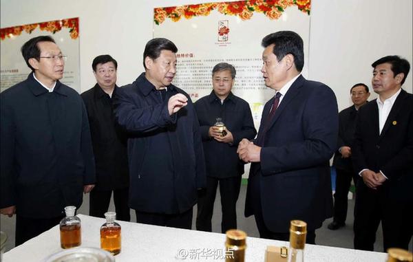 習(xí)近平：“今天長了見識(shí)”