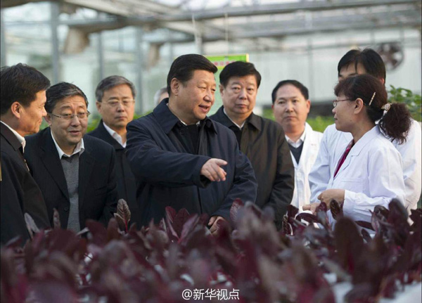 習近平：手中有糧，心中不慌