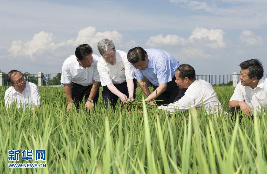 中國日報網(wǎng)年終特別策劃：2013年，習近平的中國足跡[組圖]