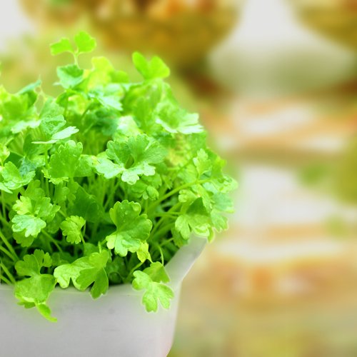 30種神奇的抗衰老食物！