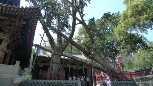 晉祠