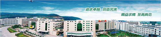 深圳勁嘉彩印集團(tuán) 國內(nèi)最大煙標(biāo)企業(yè)