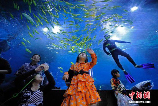 天津游客夜宿海洋館 體驗(yàn)與魚共眠（全文）